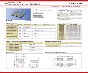 CX2520SB18000D0GEJZ1.pdf