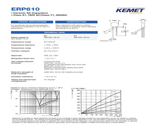 ERP610VH2470M.pdf