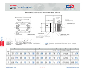 MS3470L22-41PW.pdf