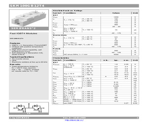 SKM100GB12T4.pdf