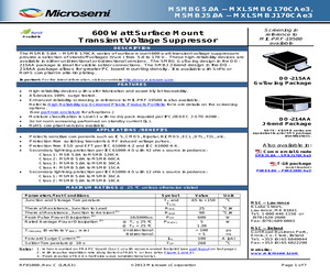 MSMBJ9.0CA.pdf