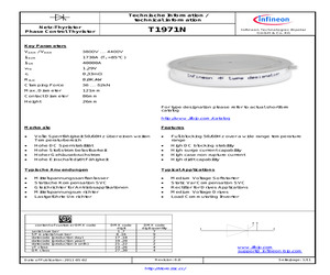 T1971N38K.pdf