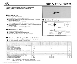 RS1B.pdf