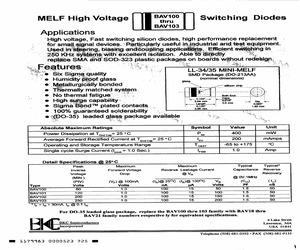 BAV102.pdf