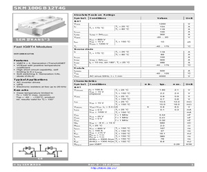 SKM100GB12T4G.pdf