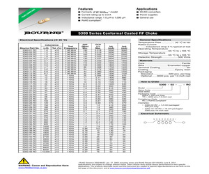 5300-06-RC.pdf