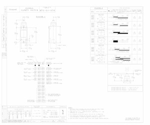 GSAC40B-C02.pdf